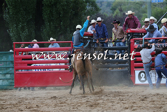 CoomaRodeo2015_2211