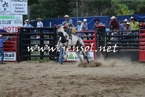 CoomaRodeo2015_2266