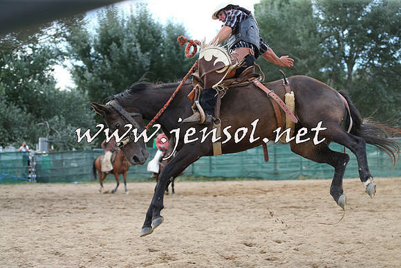 CoomaRodeo2015_2140