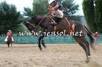 CoomaRodeo2015_2146