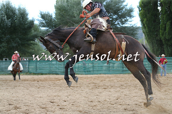 CoomaRodeo2015_2146