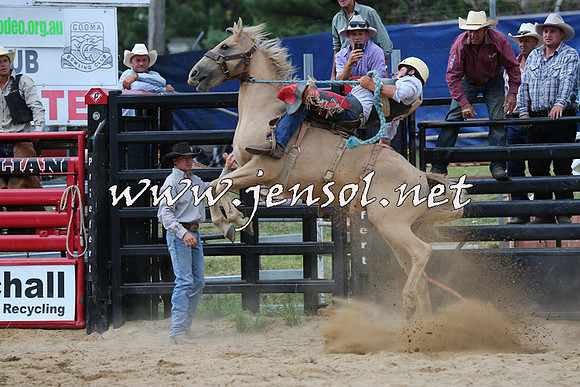 CoomaRodeo2015_2415