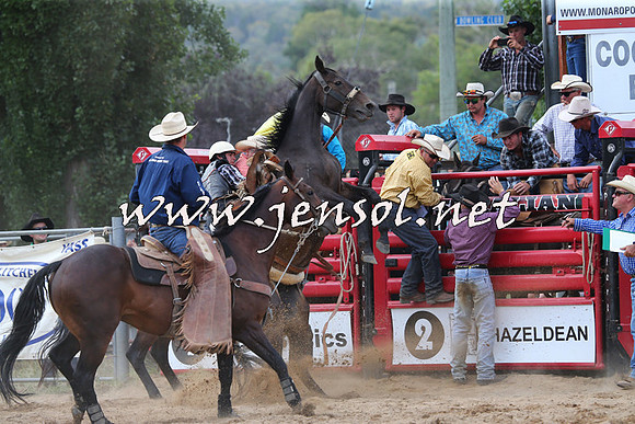 CoomaRodeo2015_2162