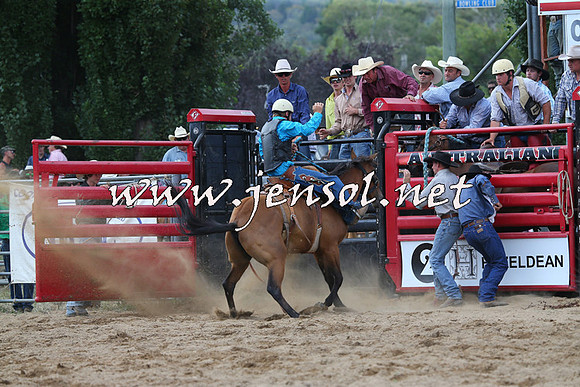 CoomaRodeo2015_2205