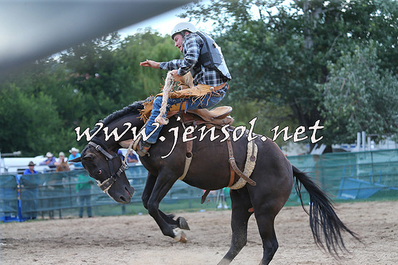 CoomaRodeo2015_2193