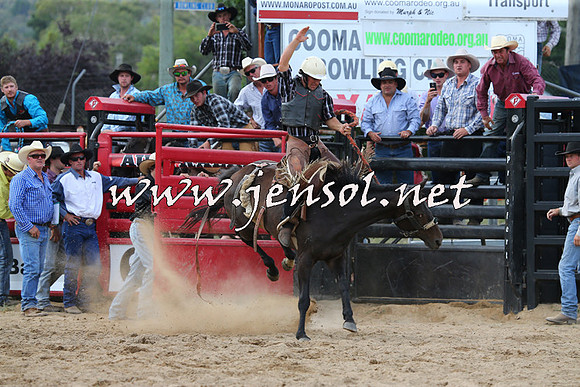 CoomaRodeo2015_2118