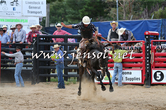 CoomaRodeo2015_2137