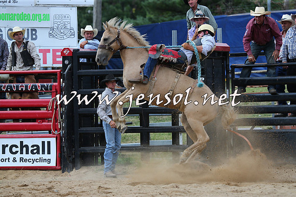 CoomaRodeo2015_2417