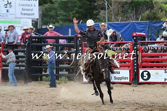 CoomaRodeo2015_2129