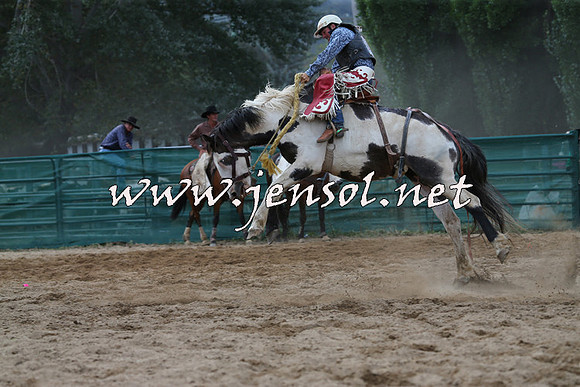 CoomaRodeo2015_2277