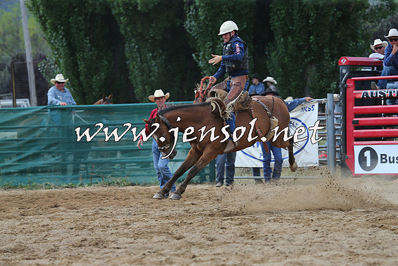 CoomaRodeo2015_2331