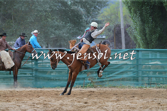 CoomaRodeo2015_2390