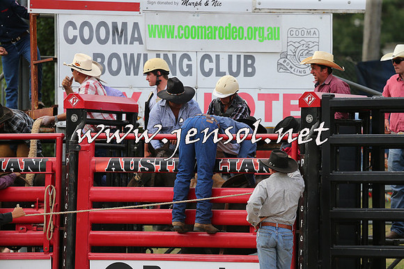 CoomaRodeo2015_2112