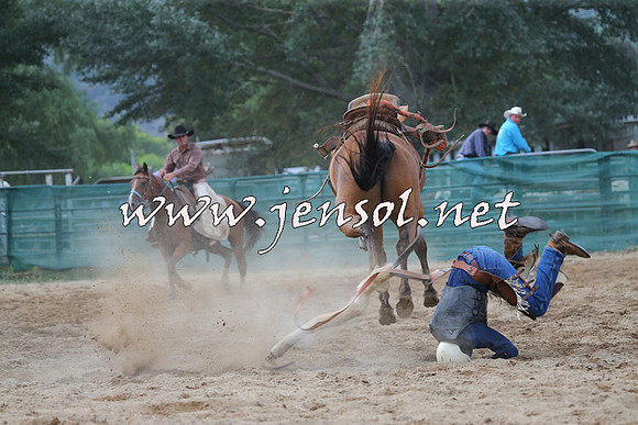 CoomaRodeo2015_2361