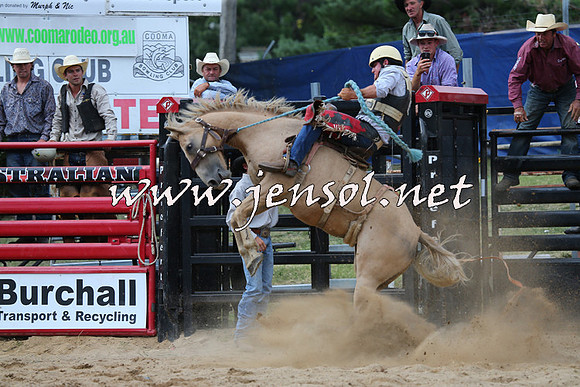 CoomaRodeo2015_2416