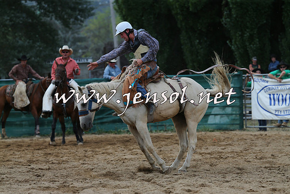 CoomaRodeo2015_2243