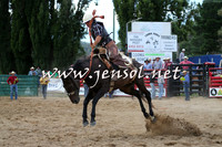 CoomaRodeo2015_2153