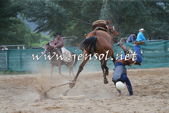 CoomaRodeo2015_2360