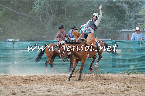 CoomaRodeo2015_2378