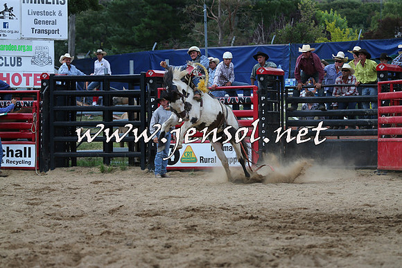 CoomaRodeo2015_2268