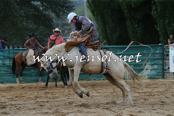 CoomaRodeo2015_2236