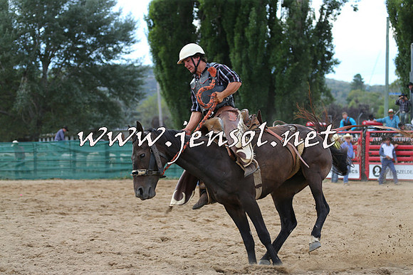 CoomaRodeo2015_2152