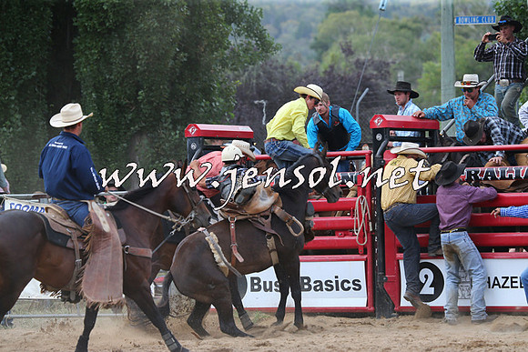 CoomaRodeo2015_2160