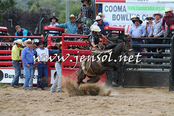 CoomaRodeo2015_2127