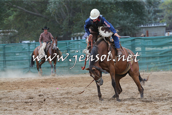 CoomaRodeo2015_2337