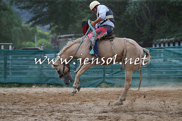 CoomaRodeo2015_2428