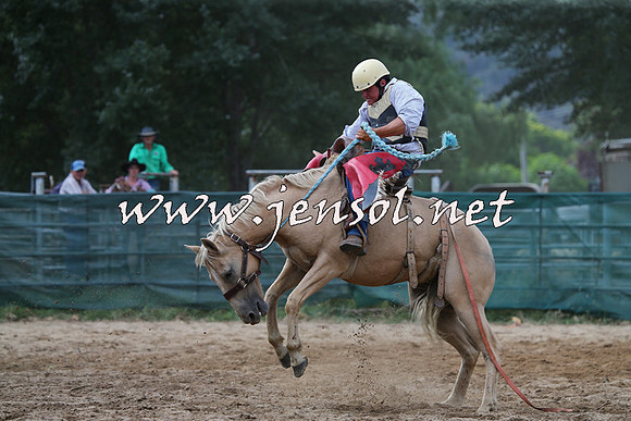 CoomaRodeo2015_2431