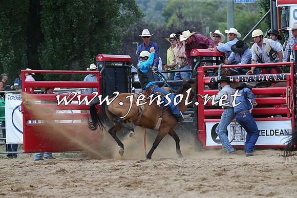 CoomaRodeo2015_2206