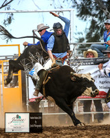 HardenRodeo_6109