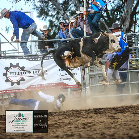 HardenRodeo_6342