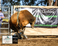 HardenRodeo_6141