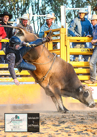 HardenRodeo_7539