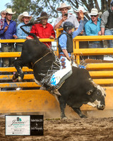 HardenRodeo_6096