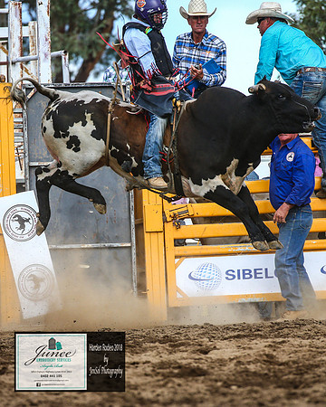 HardenRodeo_6210
