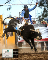 HardenRodeo_6110