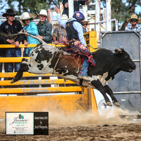 HardenRodeo_6202