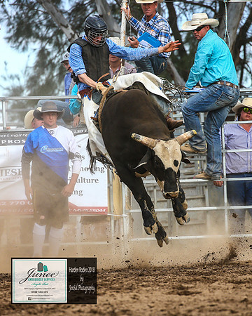 HardenRodeo_6106