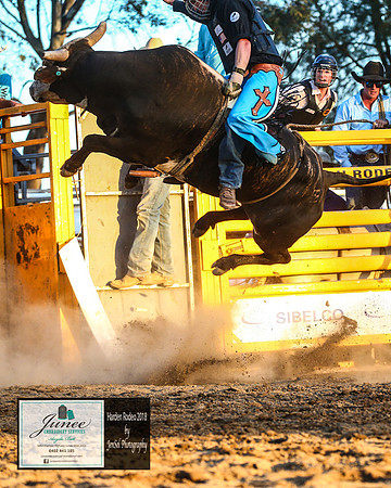 HardenRodeo_7437