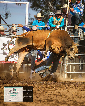 HardenRodeo_6127