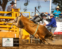 HardenRodeo_6129