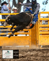 HardenRodeo_6179