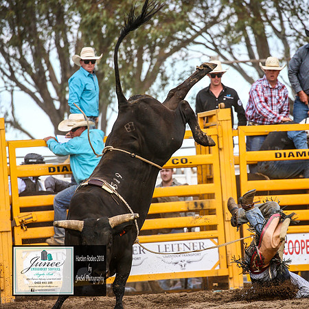 HardenRodeo_6277