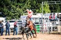 BraidwoodRodeo2016_1146