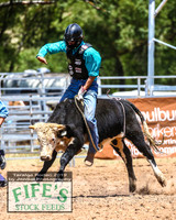 TaralgaJunior_1010
