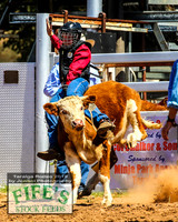 TaralgaJunior_1315