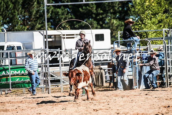 BraidwoodRodeo2016_1513